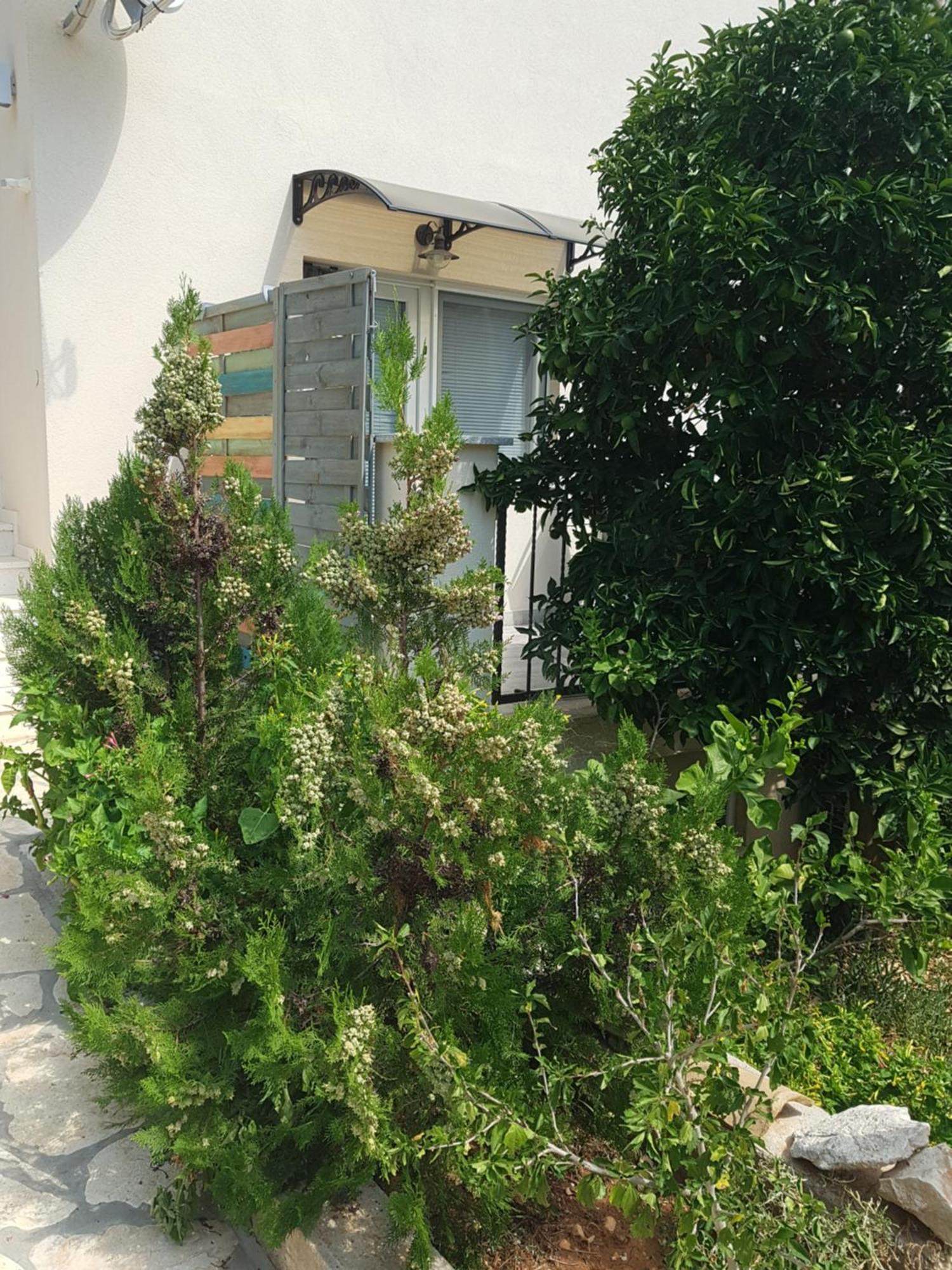 Hamo Apartments & Soba Lumbarda Exterior foto